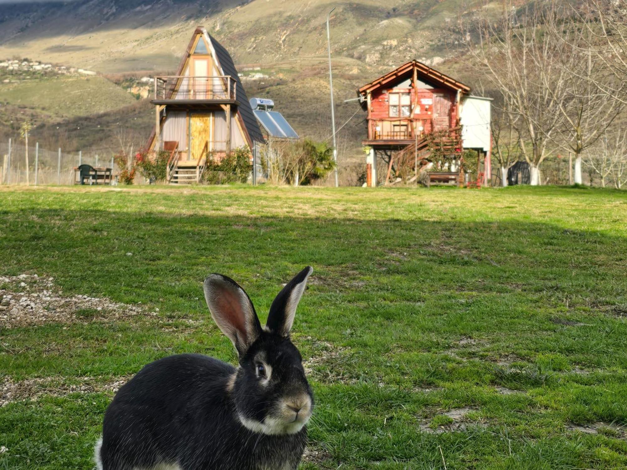 Отель Life On The Farm Nepravishte Экстерьер фото